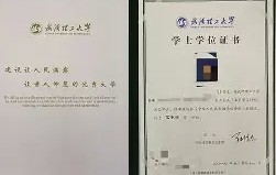 内蒙古大学学历查询