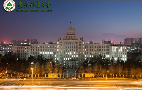 东北林业大学毕业证的样本和图片