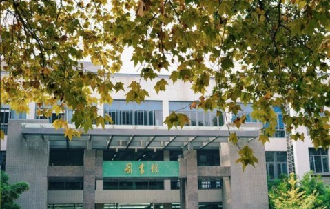 四川大学录取分数线2024