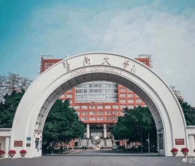 暨南大学王牌专业