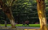 西南财经大学学历