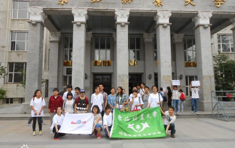 东北林业大学文凭报考条件