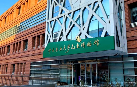 中国农业大学王牌专业