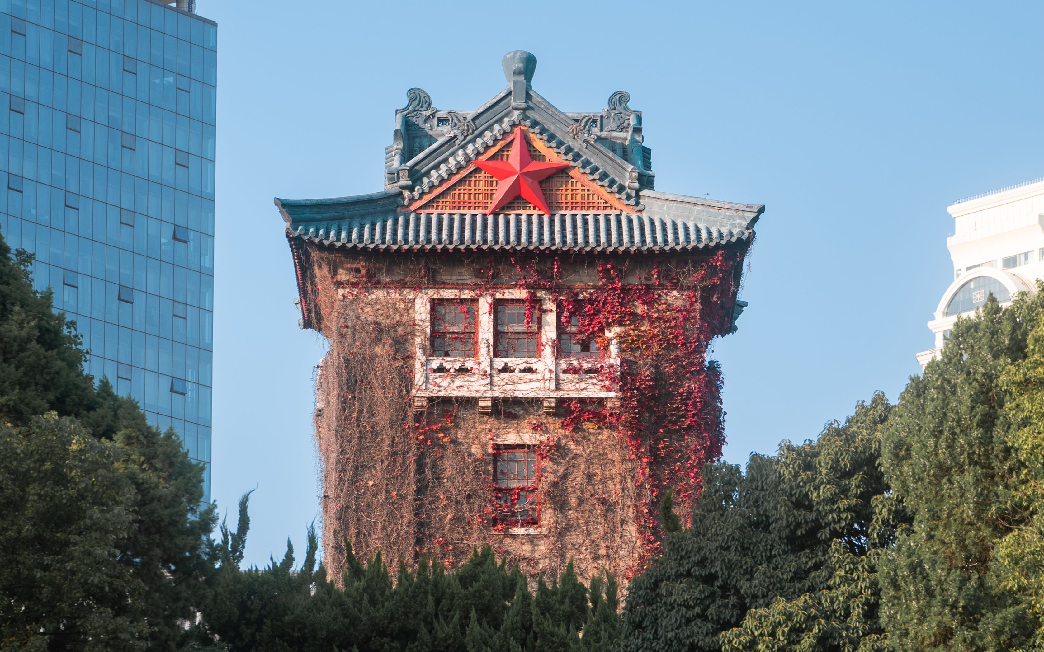 南京大学王牌专业