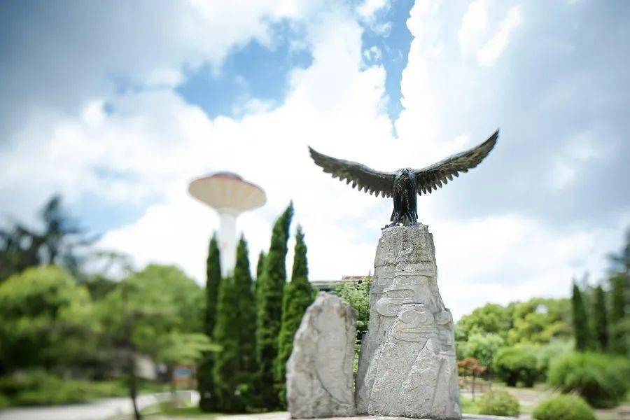 上海财经大学文凭报考条件