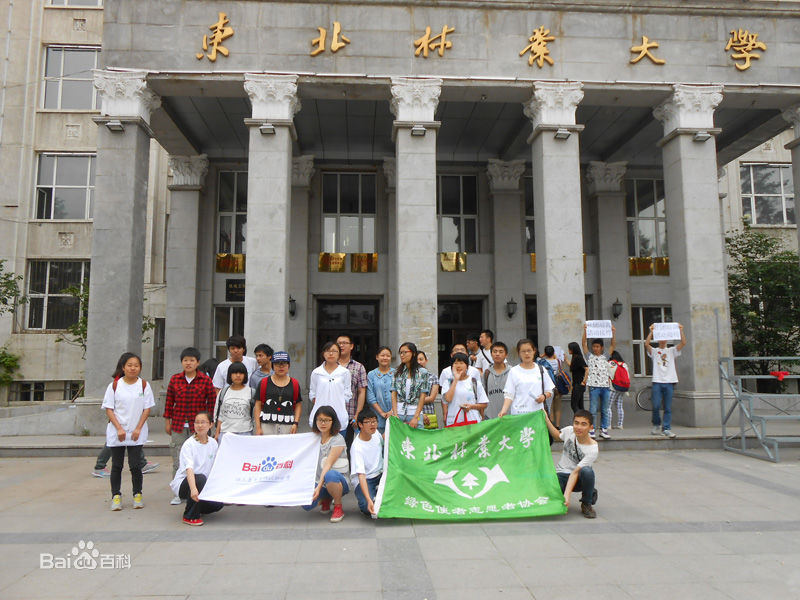 东北林业大学文凭报考条件