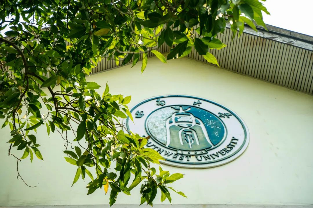 西南大学在哪个城市