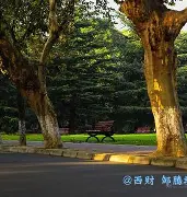 西南财经大学学历